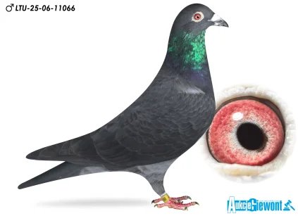 Waldemar Lutz LTU-0624-11066