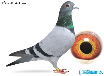 Waldemar Lutz LTU-06-24-11069