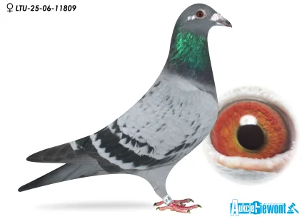 Waldemar Lutz LTU-06-25-11809