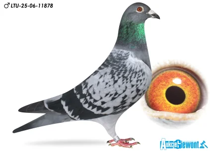 Waldemar Lutz LTU-06-25-11878