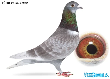 Waldemar Lutz LTU-06-25-11862