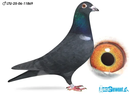 Waldemar Lutz LTU-06-25-11869