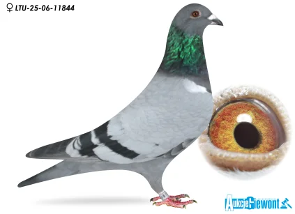 Waldemar Lutz LTU-06-25-11844