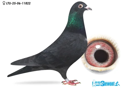 Waldemar Lutz LTU-06-25-11822