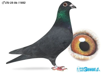 Waldemar Lutz LTU-06-25-11852