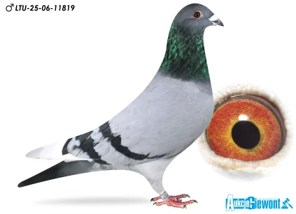 Waldemar Lutz LTU-06-25-11819