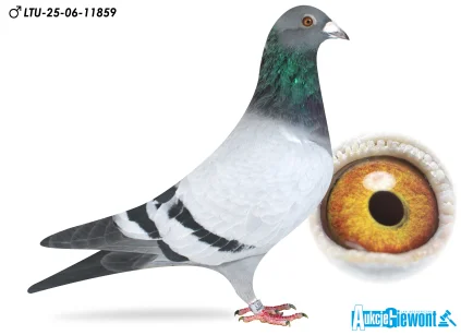 Waldemar Lutz LTU-06-25-11859