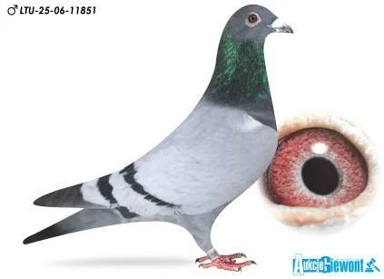 Waldemar Lutz LTU-06-25-11851