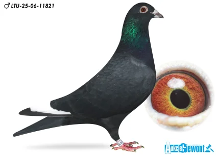 Waldemar Lutz LTU-06-25-11821