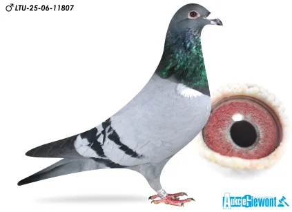 Waldemar Lutz LTU-06-25-11807