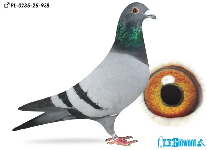 ŁUKASZ ZAGATA PL-0235-25-938