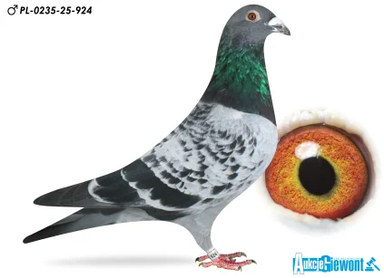 ŁUKASZ ZAGATA PL-0235-25-924