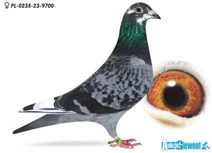 ZAGATA ŁUKASZ PL-0235-23-5700