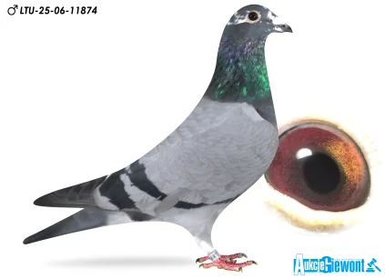 Waldemar Lutz LTU-06-25-11874