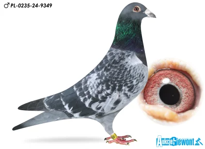 ZAGATA ŁUKASZ PL-0235-24-9349