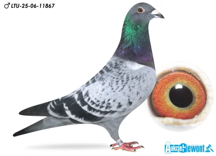 Waldemar Lutz LTU-06-25-11867