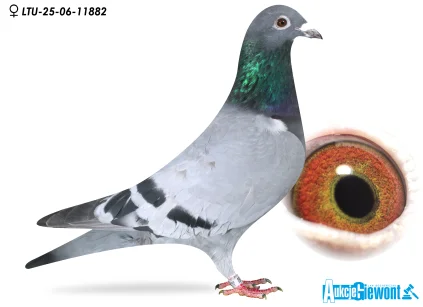 Waldemar Lutz LTU-06-25-11882