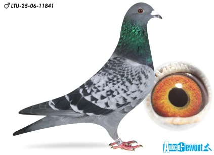 Waldemar Lutz LTU-06-25-11841