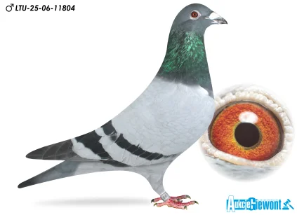 Waldemar Lutz LTU-06-25-11804