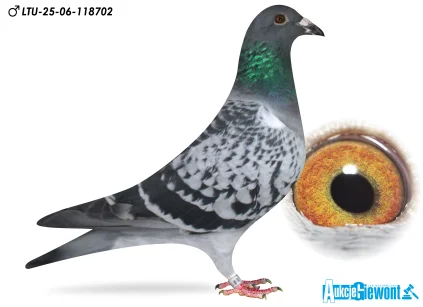 Waldemar Lutz LTU-06-25-11872