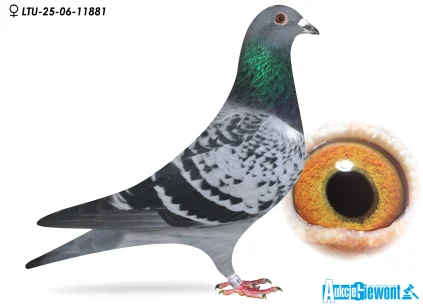 Waldemar Lutz LTU-06-25-11881