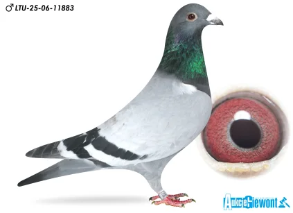 Waldemar Lutz LTU-06-25-11883