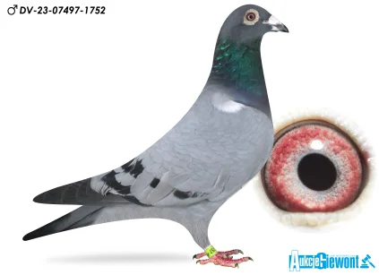 Paul-Heinz Wesjohann DV-23-07497-1757