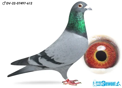 Paul-Heinz Wesjohann DV-07497-22-612