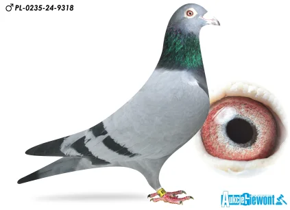 ŁUKASZ ZAGATA  PL-0235-24-9318