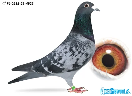 ŁUKASZ ZAGATA PL-0235-23-4923