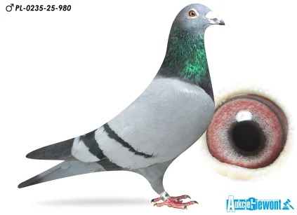 ŁUKASZ ZAGATA PL-0235-25-980