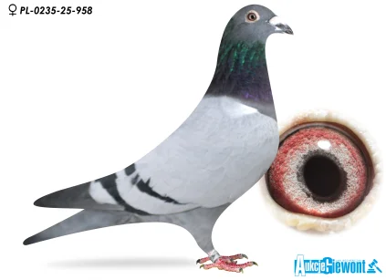 ŁUKASZ ZAGATA PL-0235-25-958