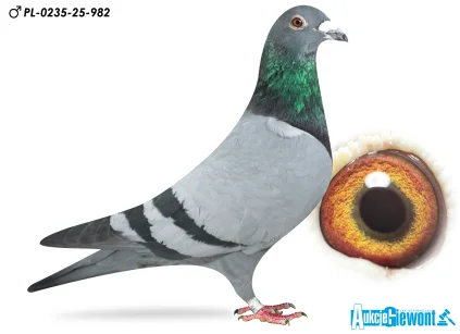 ŁUKASZ ZAGATA PL-0235-25-982