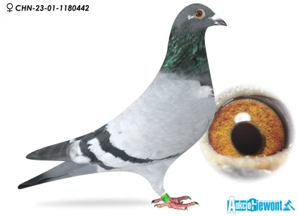 Waldemar Lutz CHN-01-23-1180422